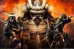 Картинки игры,shogun total war